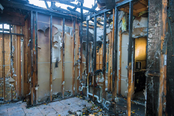 Professional Smoke Damage Removal technician working in Quartz Hill, CA